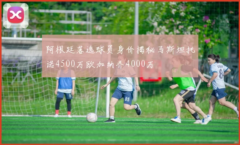 阿根廷落选球员身价揭秘马斯坦托诺4500万欧加纳乔4000万