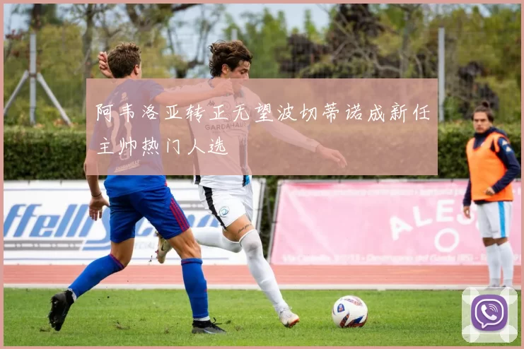 阿韦洛亚转正无望波切蒂诺成新任主帅热门人选