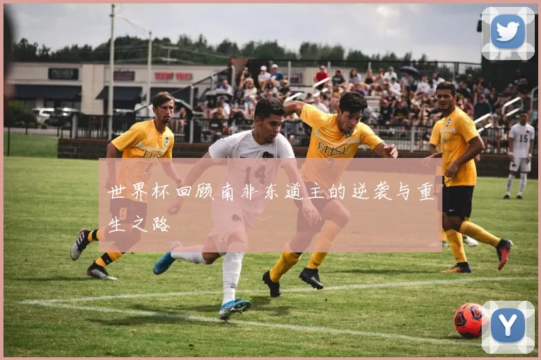 世界杯回顾南非东道主的逆袭与重生之路