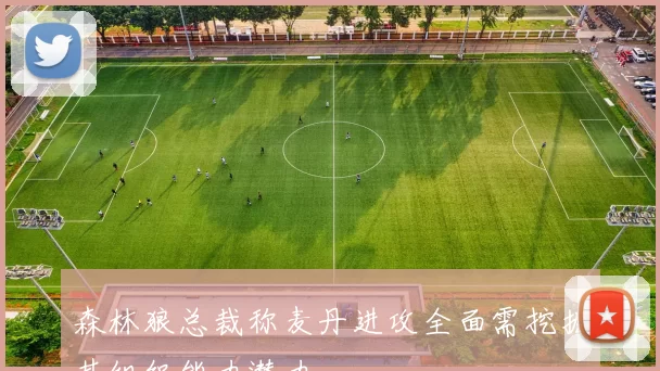 森林狼总裁称麦丹进攻全面需挖掘其组织能力潜力